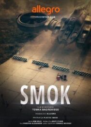 Постер к фильму Польские легенды: Дракон смотреть онлайн на HD Rezka