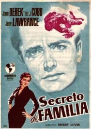 Постер к фильму Семейный секрет смотреть онлайн на HD Rezka
