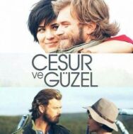 Постер к фильму Отважный и красавица смотреть онлайн на HD Rezka