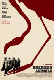 Постер к фильму Американские животные смотреть онлайн на HD Rezka
