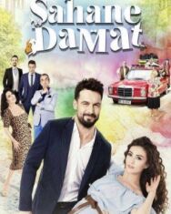 Постер к фильму Замечательный зять смотреть онлайн на HD Rezka
