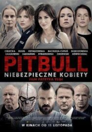 Постер к фильму Питбуль. Опасные женщины смотреть онлайн на HD Rezka