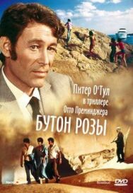 Постер к фильму Бутон розы смотреть онлайн на HD Rezka