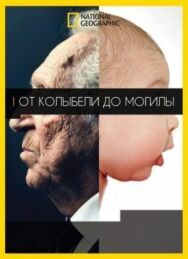 Постер к фильму От колыбели до могилы смотреть онлайн на HD Rezka