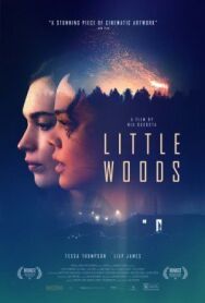 Постер к фильму Лесок смотреть онлайн на HD Rezka