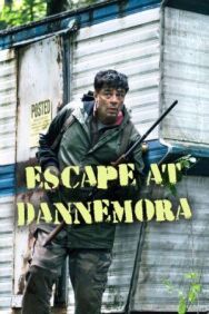 Постер к фильму Побег из тюрьмы Даннемора смотреть онлайн на HD Rezka
