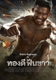 Постер к фильму Легенда о герое со сломанным мечом смотреть онлайн на HD Rezka