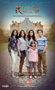 Постер к фильму Птицы без крыльев смотреть онлайн на HD Rezka