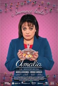 Постер к фильму Секретарша Амалия смотреть онлайн на HD Rezka