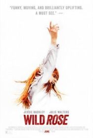 Постер к фильму Дикая Роза смотреть онлайн на HD Rezka