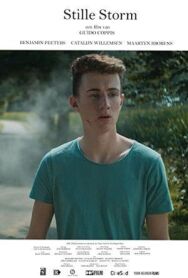 Постер к фильму Тихий шторм смотреть онлайн на HD Rezka