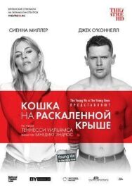 Постер к фильму Кошка на раскалённой крыше смотреть онлайн на HD Rezka