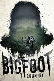 Постер к фильму Земля йети смотреть онлайн на HD Rezka