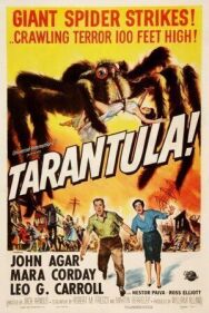 Постер к фильму Тарантул смотреть онлайн на HD Rezka