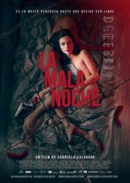 Постер к фильму Плохая ночь смотреть онлайн на HD Rezka