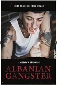 Постер к фильму Албанский гангстер смотреть онлайн на HD Rezka