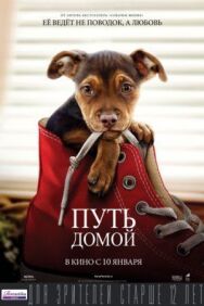Постер к фильму Путь домой смотреть онлайн на HD Rezka
