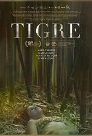 Постер к фильму Тигр смотреть онлайн на HD Rezka