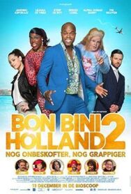 Постер к фильму Путешествие по Нидерландам 2 смотреть онлайн на HD Rezka