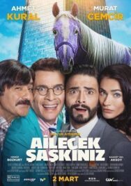 Постер к фильму Безумная семейка смотреть онлайн на HD Rezka