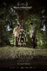 Постер к фильму Малила: Прощальный цветок смотреть онлайн на HD Rezka
