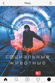 Постер к фильму Социальные животные смотреть онлайн на HD Rezka