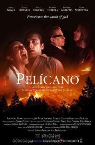 Постер к фильму Пеликан смотреть онлайн на HD Rezka