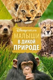 Постер к фильму Малыши в дикой природе смотреть онлайн на HD Rezka
