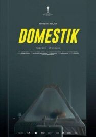 Постер к фильму Домашний режим смотреть онлайн на HD Rezka