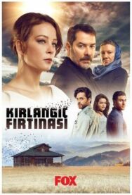 Постер к фильму Шторм ласточки смотреть онлайн на HD Rezka