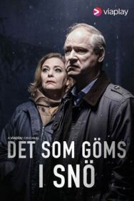 Постер к фильму Что спрятано в снегу смотреть онлайн на HD Rezka