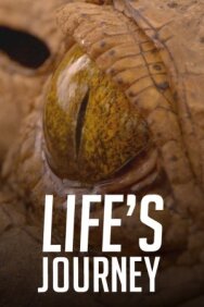 Постер к фильму Life's Journey смотреть онлайн на HD Rezka