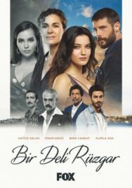 Постер к фильму Сумасшедший ветер смотреть онлайн на HD Rezka