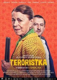 Постер к фильму Террористка смотреть онлайн на HD Rezka