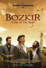 Постер к фильму Посмотри на птиц смотреть онлайн на HD Rezka