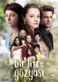 Постер к фильму Один литр слёз смотреть онлайн на HD Rezka