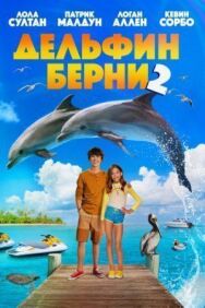 Постер к фильму Дельфин Берни 2 смотреть онлайн на HD Rezka