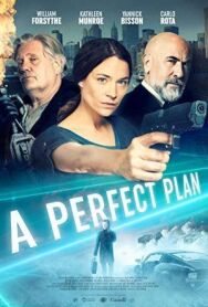 Постер к фильму Идеальный план смотреть онлайн на HD Rezka
