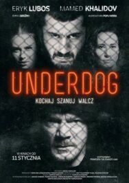 Постер к фильму Аутсайдер смотреть онлайн на HD Rezka
