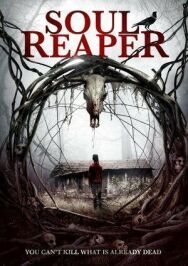 Постер к фильму Мрачный жнец смотреть онлайн на HD Rezka