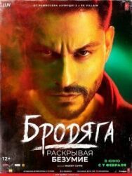 Постер к фильму Бродяга смотреть онлайн на HD Rezka