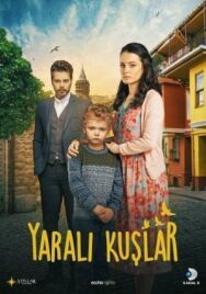 Постер к фильму Раненые птицы смотреть онлайн на HD Rezka