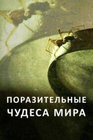 Постер к фильму Поразительные чудеса мира смотреть онлайн на HD Rezka