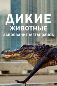 Постер к фильму Дикие животные: Завоевание мегаполиса смотреть онлайн на HD Rezka