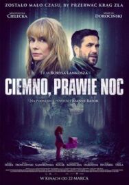 Постер к фильму Темно, почти ночь смотреть онлайн на HD Rezka