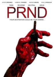 Постер к фильму Park Reverse Neutral Drive, PRND (Director's cut) смотреть онлайн на HD Rezka