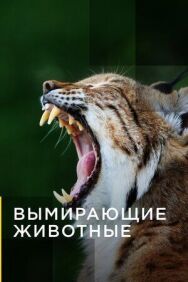 Постер к фильму Вымирающие животные смотреть онлайн на HD Rezka