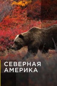 Постер к фильму Северная Америка смотреть онлайн на HD Rezka