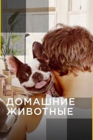 Постер к фильму Домашние животные смотреть онлайн на HD Rezka