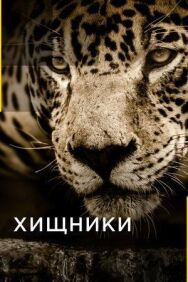 Постер к фильму Хищники смотреть онлайн на HD Rezka